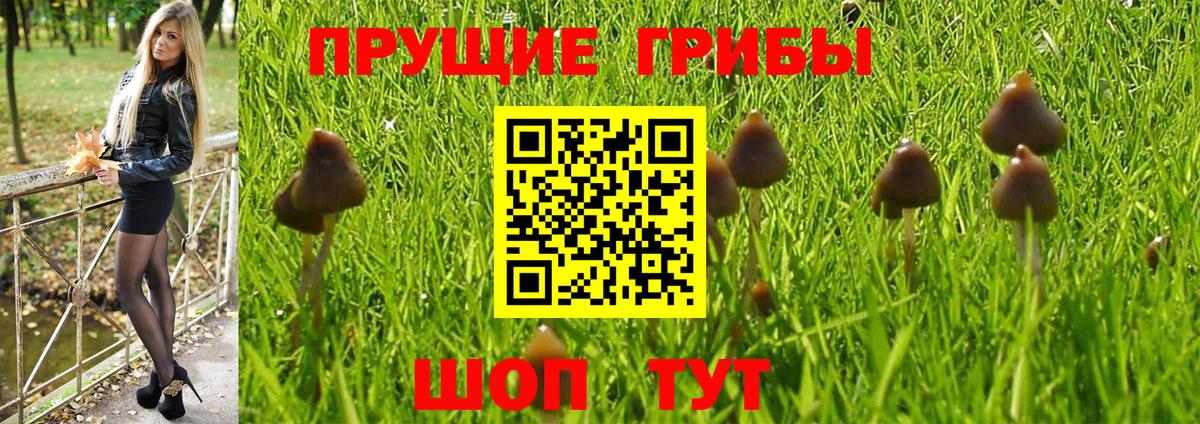 Галлюциногенные грибы Magic Shrooms Кыштым