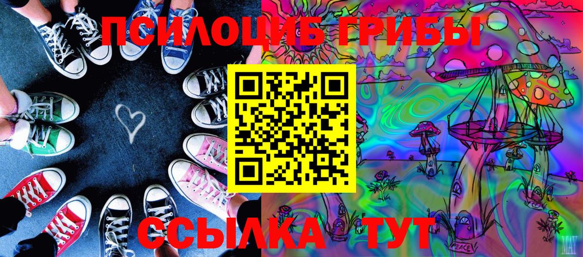 Кыштым  Галлюциногенные грибы Cubensis  Псилоцибиновые грибы Cubensis  Вход с VPN 